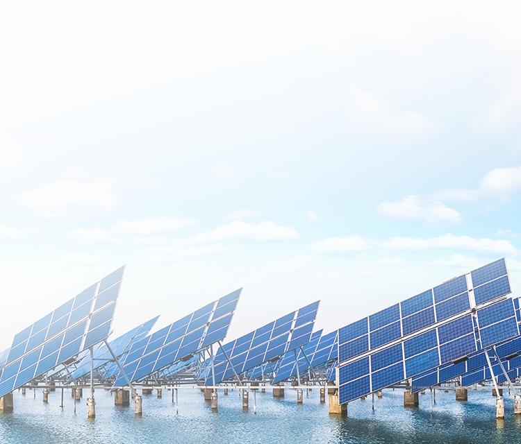 经济生产与绿色安全双赢